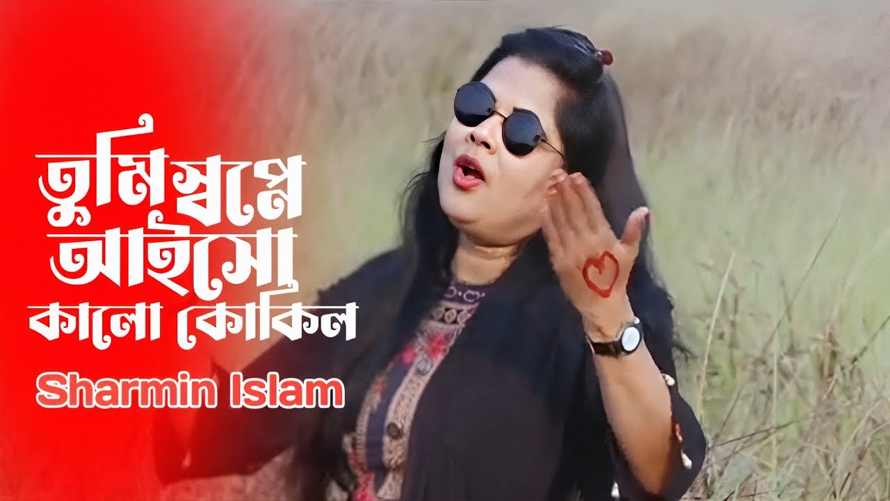 শারমিন ইসলামের গানের জগতের গল্প