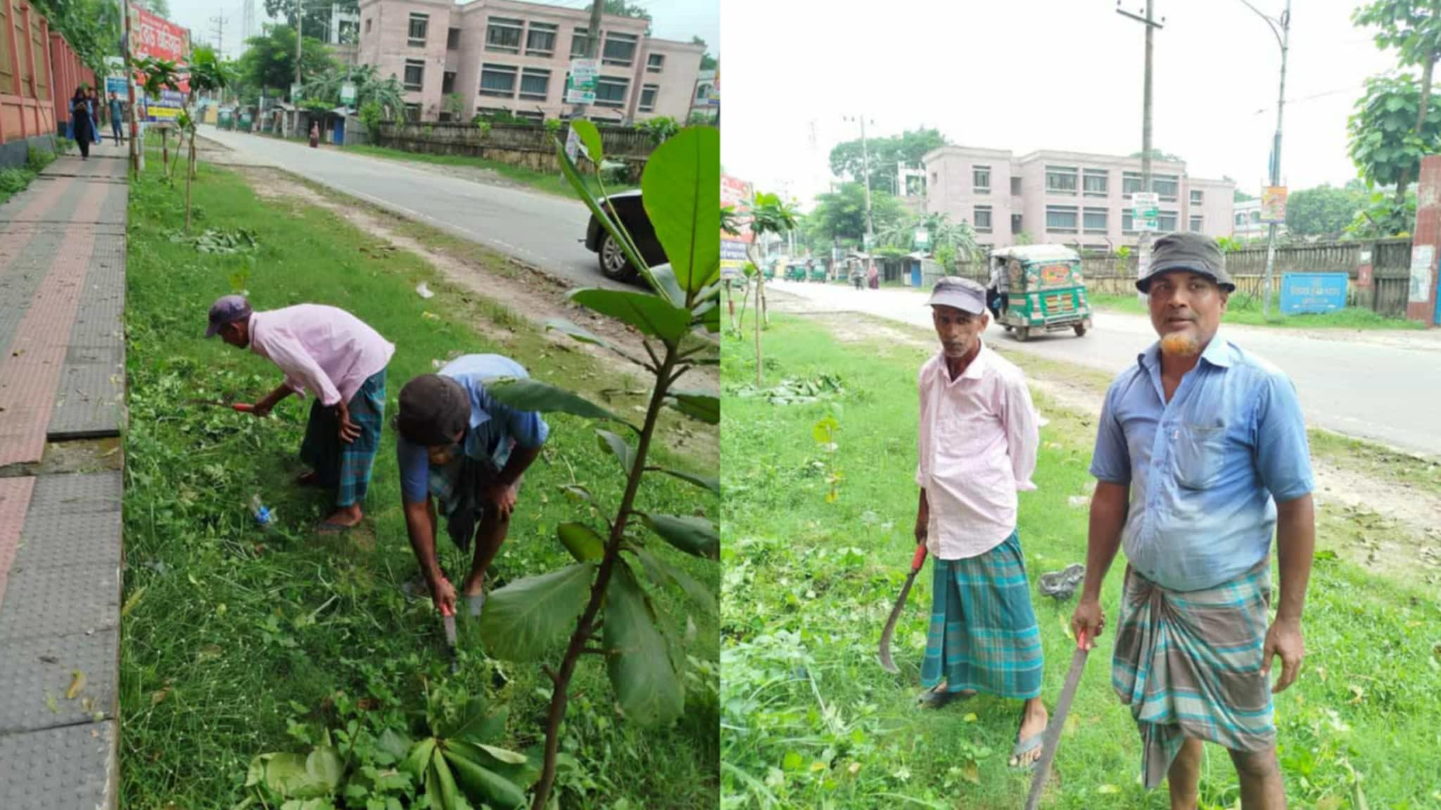 কুমিল্লা সিটি কর্পোরেশনের ২৪নং ওয়ার্ডে চলছে আগাছা পরিষ্কারের কার্যক্রম